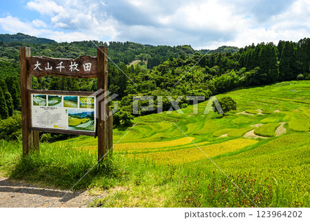 千葉縣鴨川市大山千枚田稻田 千葉縣鴨川市大山千枚田稻田 123964202