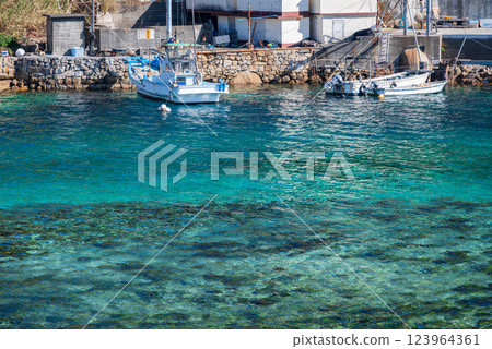 A boat floating on the clear emerald green sea 123964361