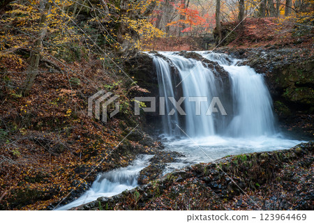 [Fujiyoshida City, Yamanashi Prefecture] Kaneyama Falls surrounded by autumn leaves 123964469