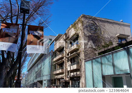 Tokyo Omotesando scenery 123964604