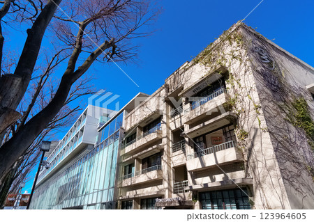 Tokyo Omotesando scenery 123964605