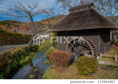 (Yamanashi Prefecture) Oshino Hakkai in Autumn 123964967