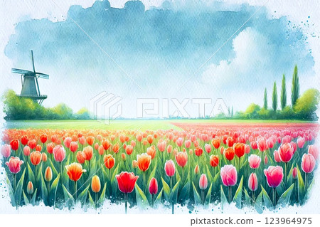 Tulip field 123964975