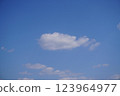 魚雲在藍天遊動 123964977