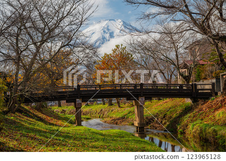 （山梨縣）忍野八海：新奈莊川沿岸的紅葉和白雪皚皚的富士山 123965128