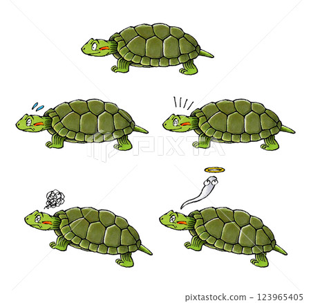 綠海龜套裝 綠海龜套裝 123965405