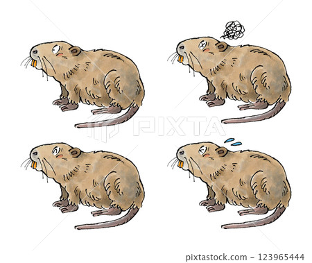 Nutria Set Nutria Set 123965444