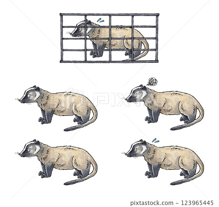 Palm Civet Set Palm Civet Set 123965445