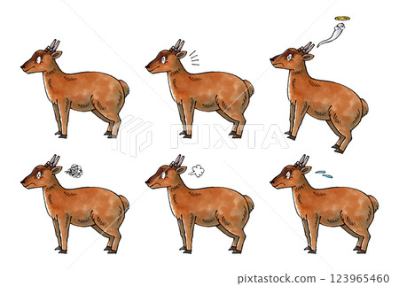 虛空套裝 虛空套裝 123965460