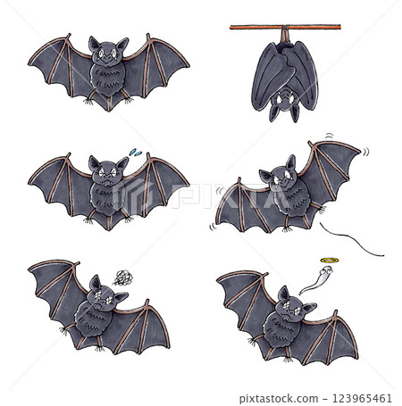 Bat Set 123965461