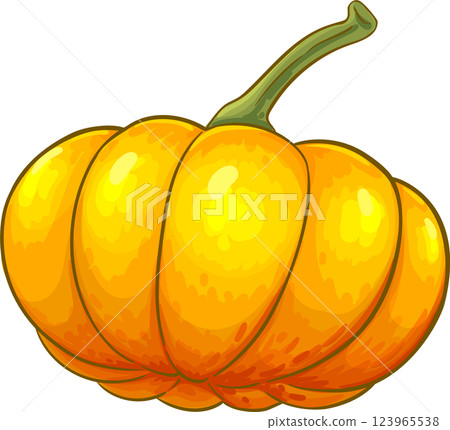 Pumpkin Fruit Colored Detailed Illustration. Organic natural nutritional healthy food ingredient, vegetarian diet product. 123965538