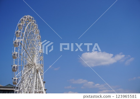 魚雲想坐白色摩天輪 123965581