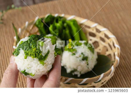 手裡拿著蘿蔔飯糰 手裡拿著蘿蔔飯糰 手裡拿著蘿蔔飯糰 手裡拿著蘿蔔飯糰 123965603