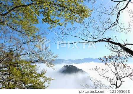 山形縣金山市藥師山雲海中漂浮的小島和新綠 123965658