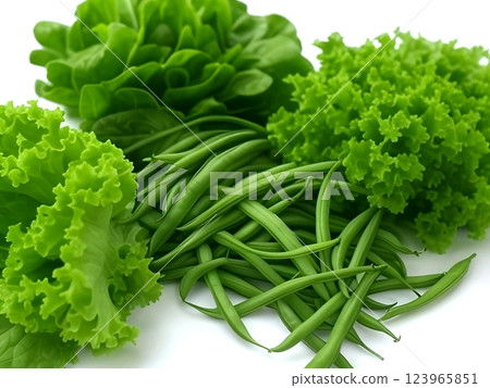 綠色蔬菜 ① 綠色蔬菜 ① 123965851