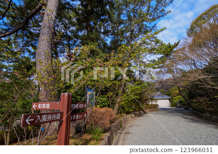 Early spring at Hayama Shiosai Park Early spring at Hayama Shiosai Park 123966031