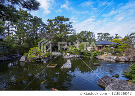 Early spring at Hayama Shiosai Park 123966042