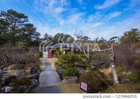 葉山潮騷公園的初春 123966050