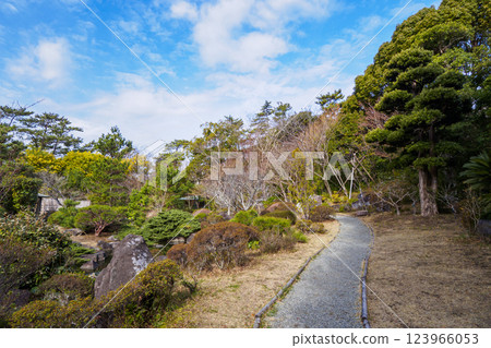 Early spring at Hayama Shiosai Park 123966053