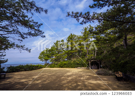 葉山潮騷公園的初春 123966083