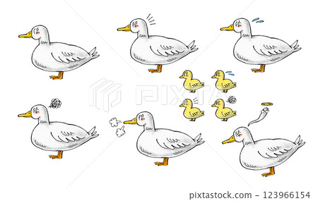 Duck Set 123966154