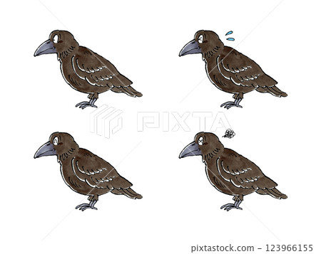 Crow set 123966155