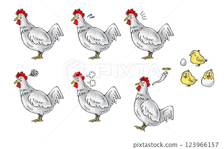 白雞套餐 123966157