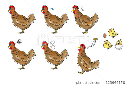 棕色雞套餐 123966158