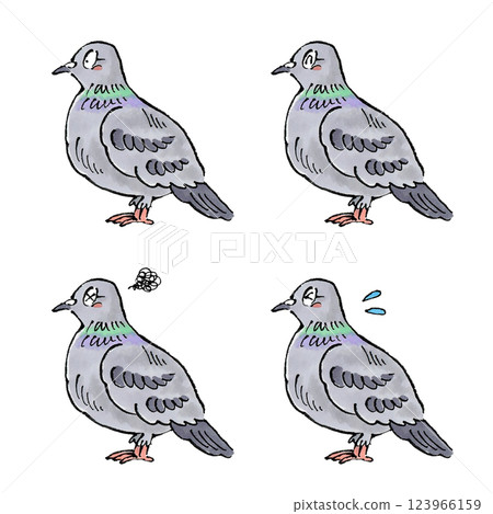 Pigeon set 123966159