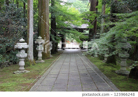 山寺（臨濟宗妙心寺派：大智寺）551（岐阜縣岐阜市） 123966248