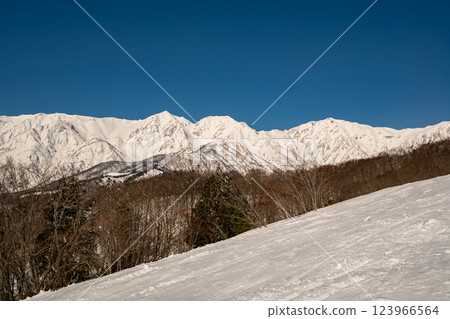 長野縣白馬村的滑雪勝地和北阿爾卑斯山脈 123966564
