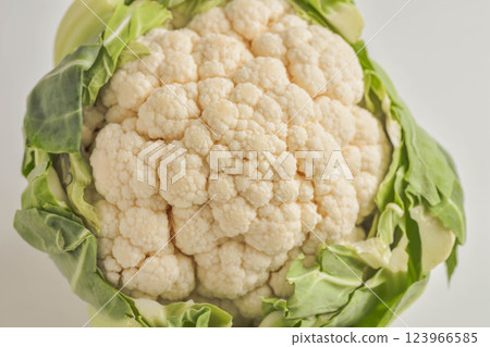 菜花 菜花 123966585