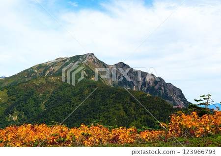 The view from climbing Mount Kashima The view from climbing Mount Kashima 123966793