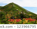 The view from climbing Mount Kashima 123966795