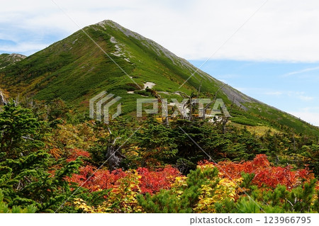 登上鹿島山看到的風景 123966795