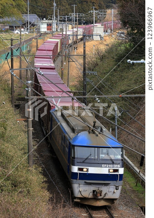運行於東海道本線（新成線）的EF210次貨運列車 123966967