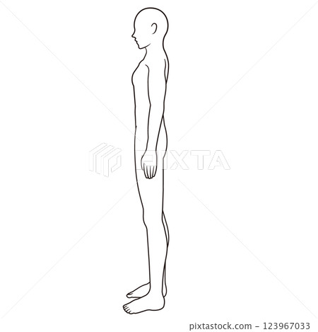 Male anatomy diagram, schematic, landscape 123967033