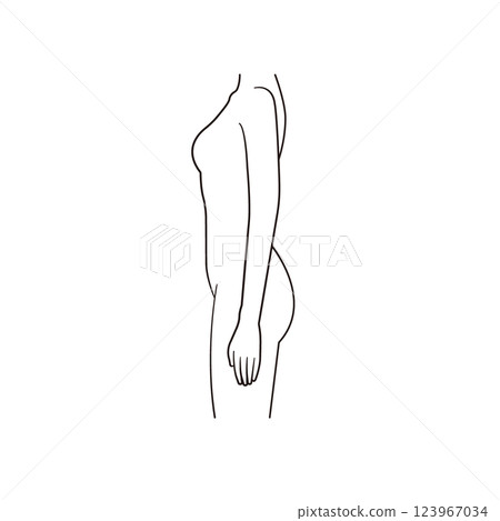 女性解剖圖,示意圖,軀幹,側身 女性解剖圖,示意圖,軀幹,側身 123967034