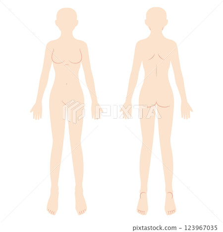 女性身體圖、示意圖、正面和背面 123967035