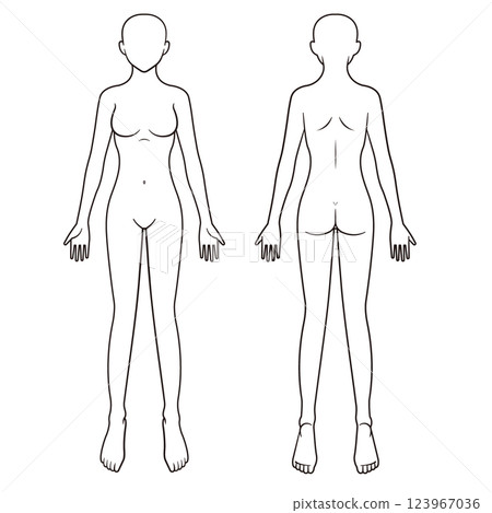 Female body diagram, schematic, front and back Female body diagram, schematic, front and back 123967036