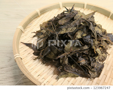 番茶茶葉 123967247