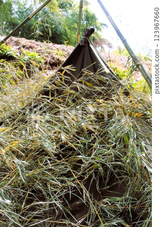 軍用帳篷營地 123967660