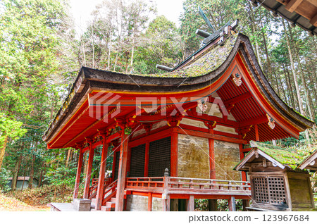 兵庫縣加東市上鴨川住吉神社重要文化財產本社第1殿 123967684