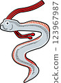 A simple and cute illustration of an oarfish 123967987