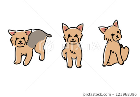 Illustration of Yorkshire Terrier (short cut) 123968386