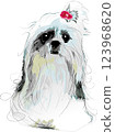A simple illustration of a long-haired Shih Tzu 123968620
