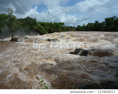 河流和叢林 河流和叢林 123968651