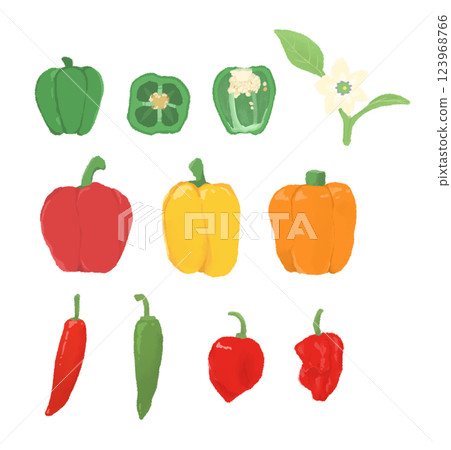 Illustration of various vegetables 123968766