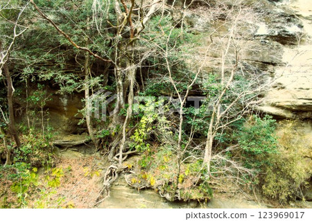 Bushcraft camp Bushcraft camp 123969017