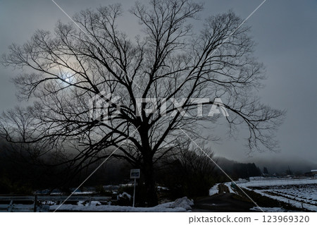 Photographing the magical fog of a mountain village 123969320